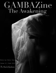 GAMBA Zine The Awakening